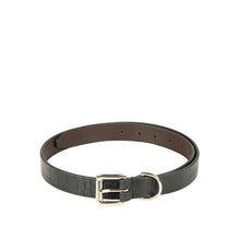 Load image into Gallery viewer, TINA WOMENS BELT