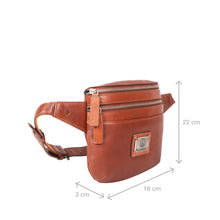 Load image into Gallery viewer, BOSE 01 BELT BAG