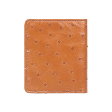 Load image into Gallery viewer, BARTOLI W3 BI-FOLD