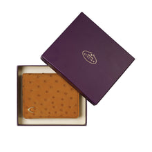 Load image into Gallery viewer, CORAL W2 BI-FOLD