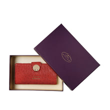 Load image into Gallery viewer, CORAL W5 BI-FOLD