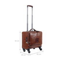 Load image into Gallery viewer, ROVER 01 TROLLEY BAG