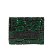 Load image into Gallery viewer, TINA TURNER W1 TRI-FOLD