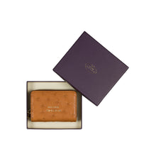 Load image into Gallery viewer, DORI CARD HOLDER