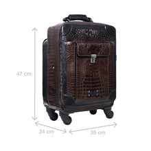 Load image into Gallery viewer, Patagonia 04 Brown Leather Trolley Bag