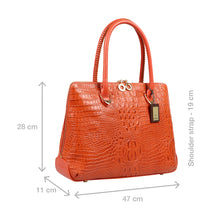 Load image into Gallery viewer, YANGTZE 03 TOTE BAG