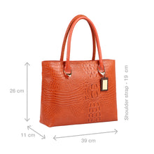 Load image into Gallery viewer, YANGTZE 02 TOTE BAG