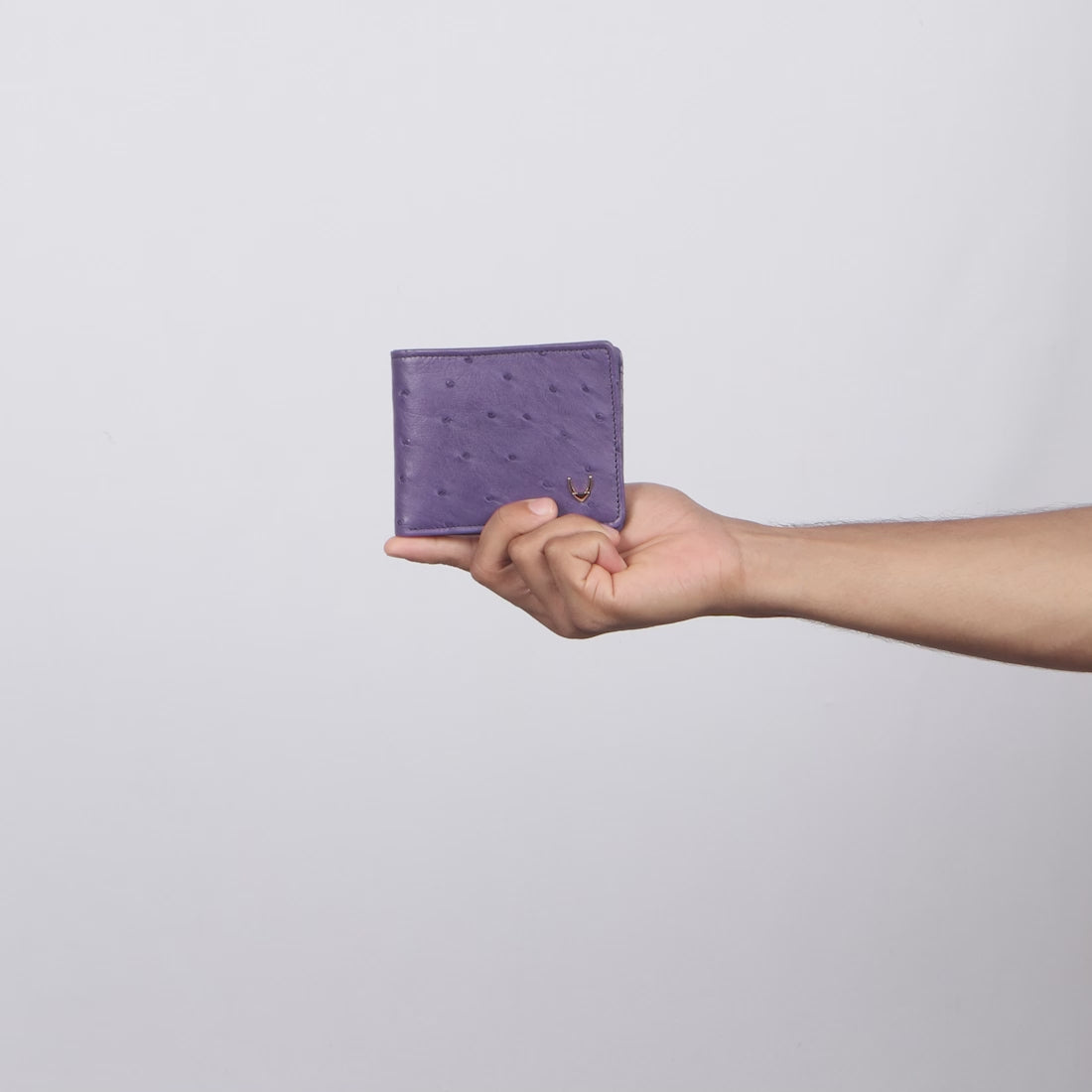 Hidesign Wallets : Buy Hidesign Kubera W2 Purple Men Wallets Online