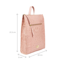 Load image into Gallery viewer, SPRUCE 05 SB BACKPACK