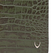 Load image into Gallery viewer, BOSTON W3 PASSPORT HOLDER