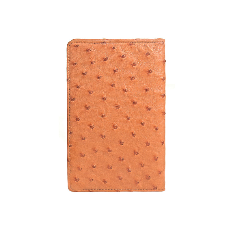 CASPIAN PASSPORT HOLDER
